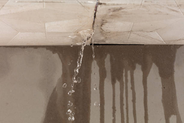Professional Burst Pipe Cleanup technician working in Dorsey, IL